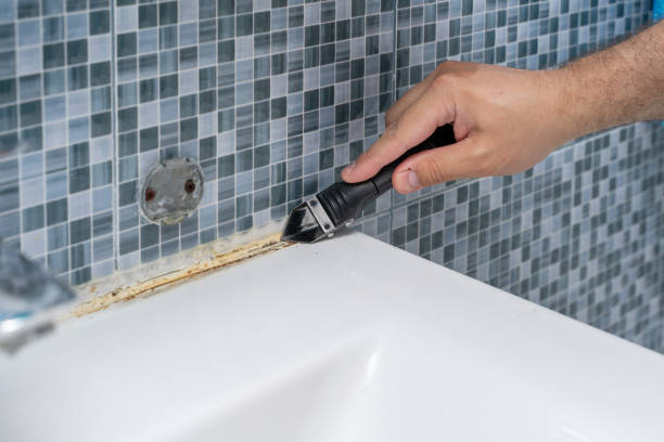 Best Certified Mold Removal  in Whitney, NV